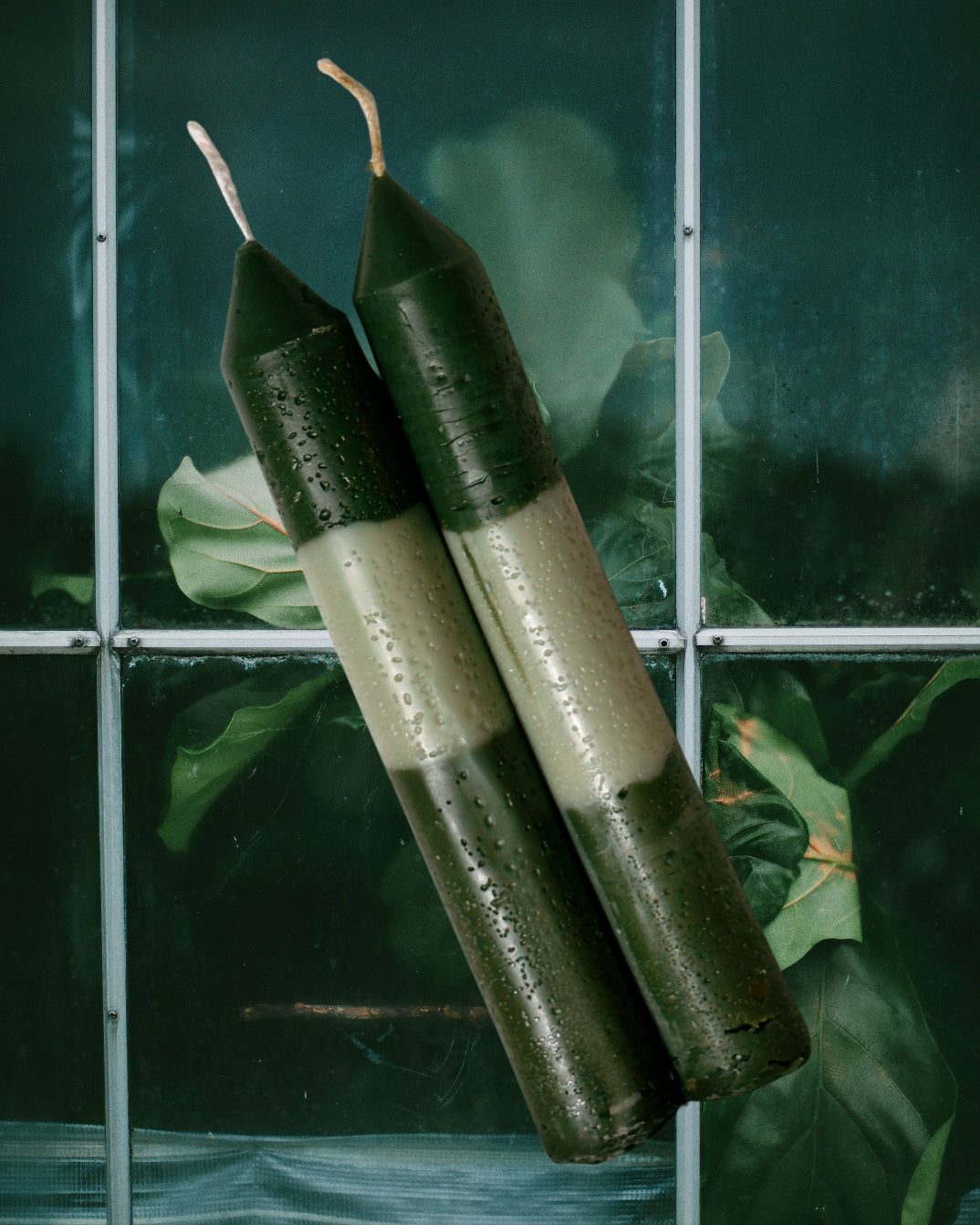 The Floresta Candles